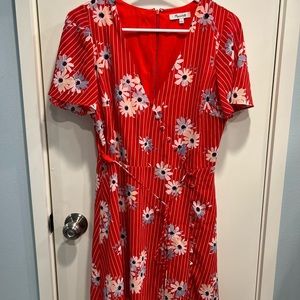 Madewell Red Floral Striped Mini Dress